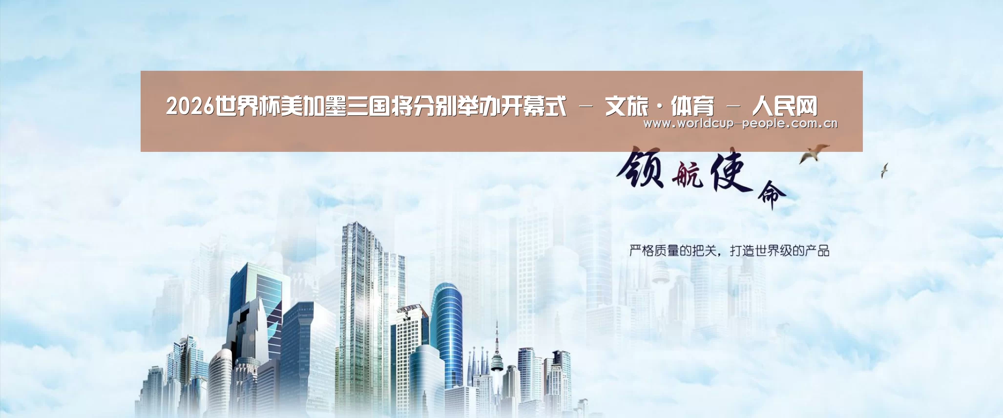 世界杯赛组公司