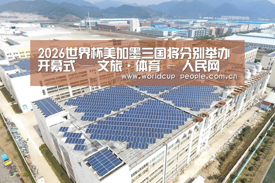 案例展示三