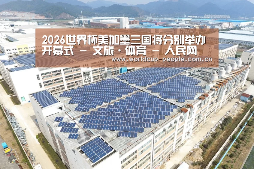 案例展示二