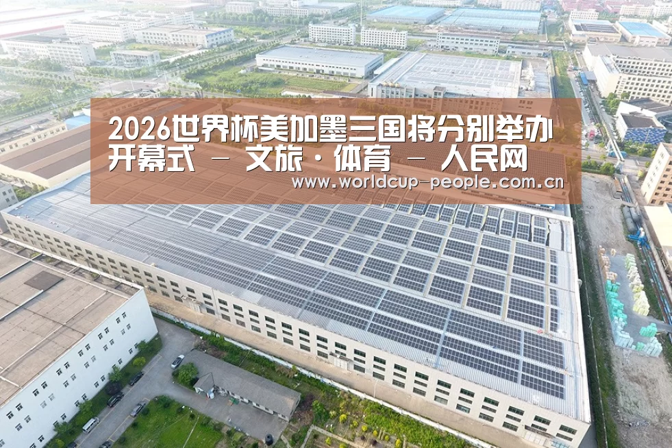 案例展示二