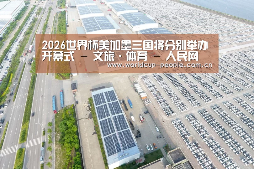 案例展示一