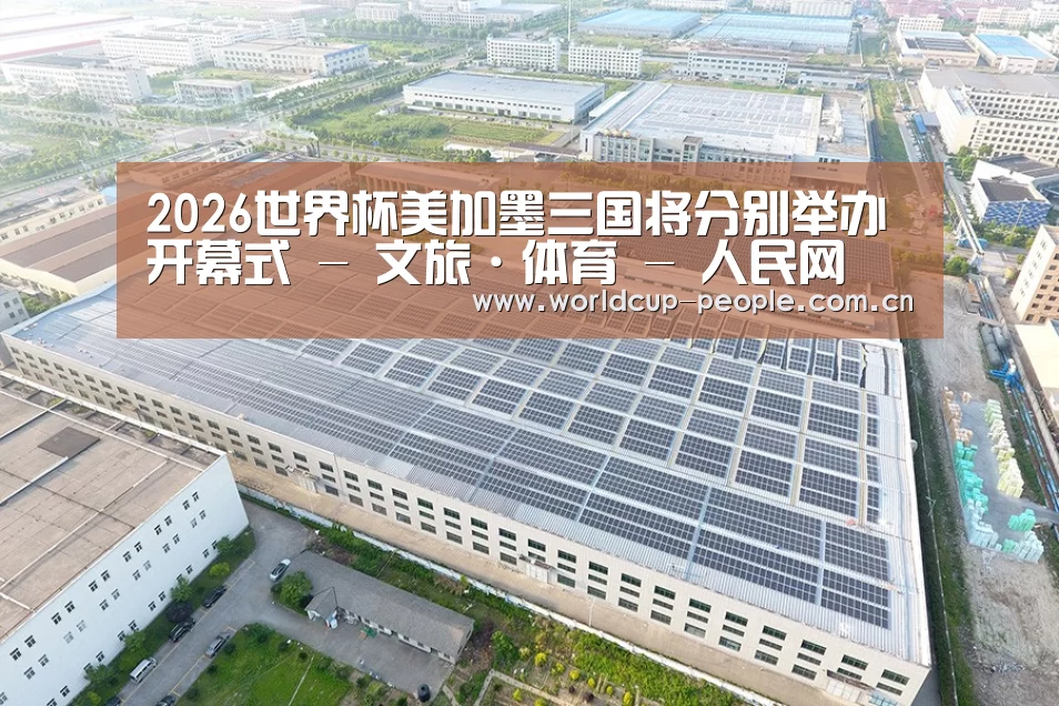 案例展示三