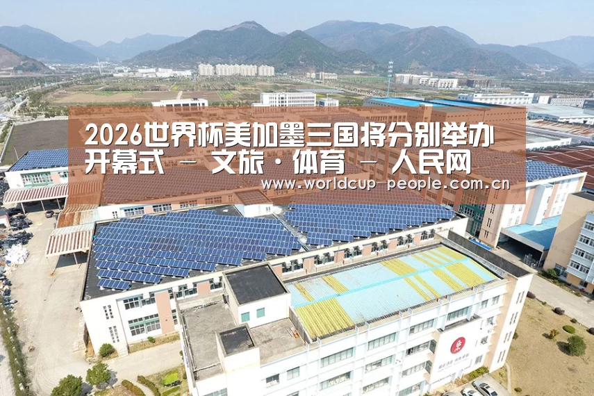 案例展示三