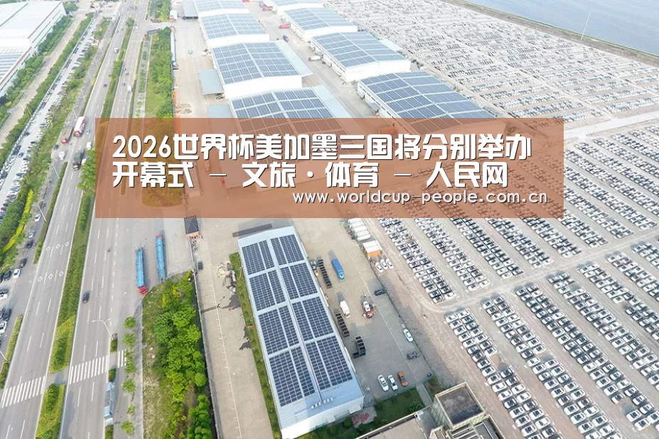 案例展示三