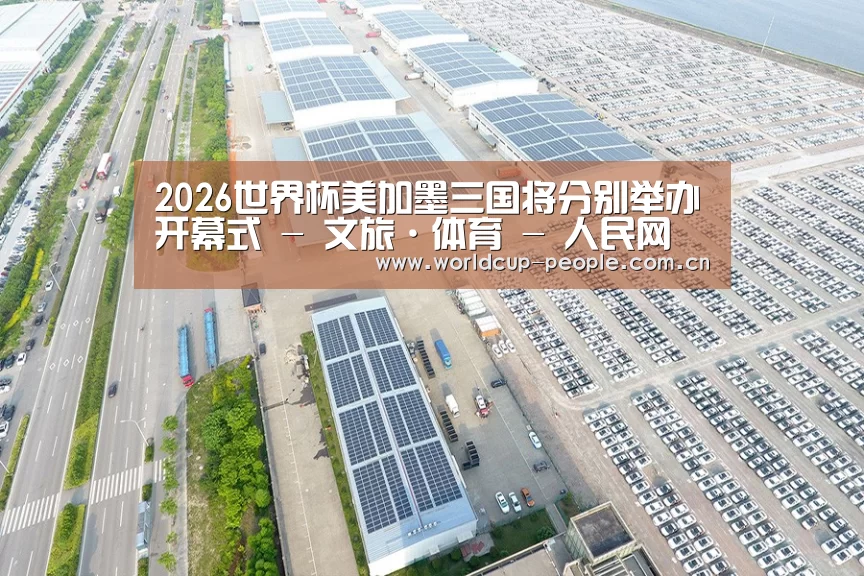 案例展示二