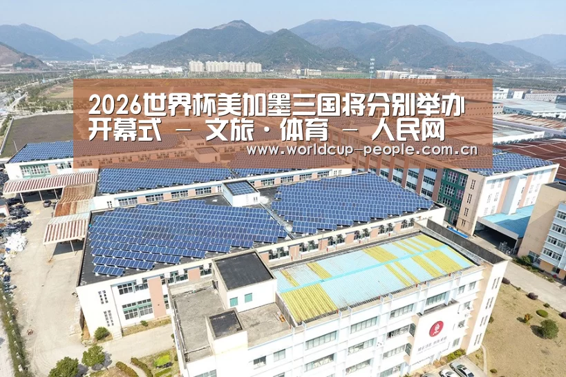 案例展示三