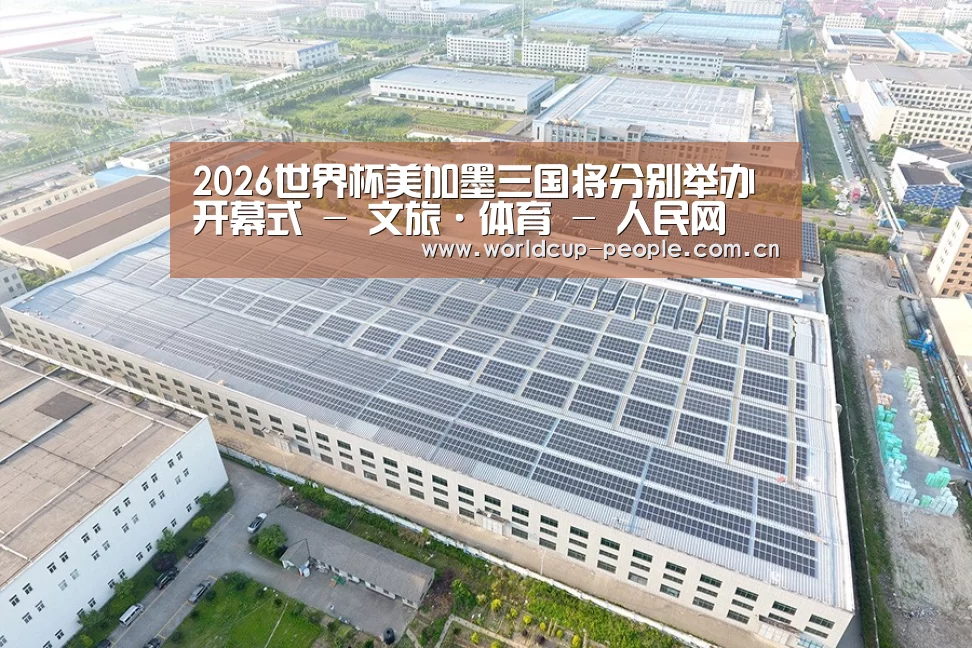 案例展示四