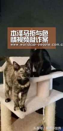 世界杯附加赛